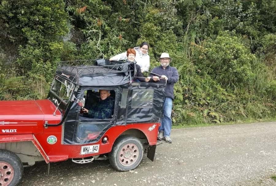 Salento: Salento & Cocora Valley Tour - Key points to know before booking