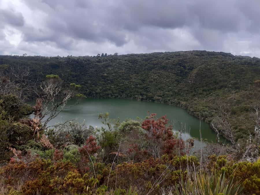 Salt Cathedral and Guatavita Lake with Lunch and Guide - The guides are a major part of the value