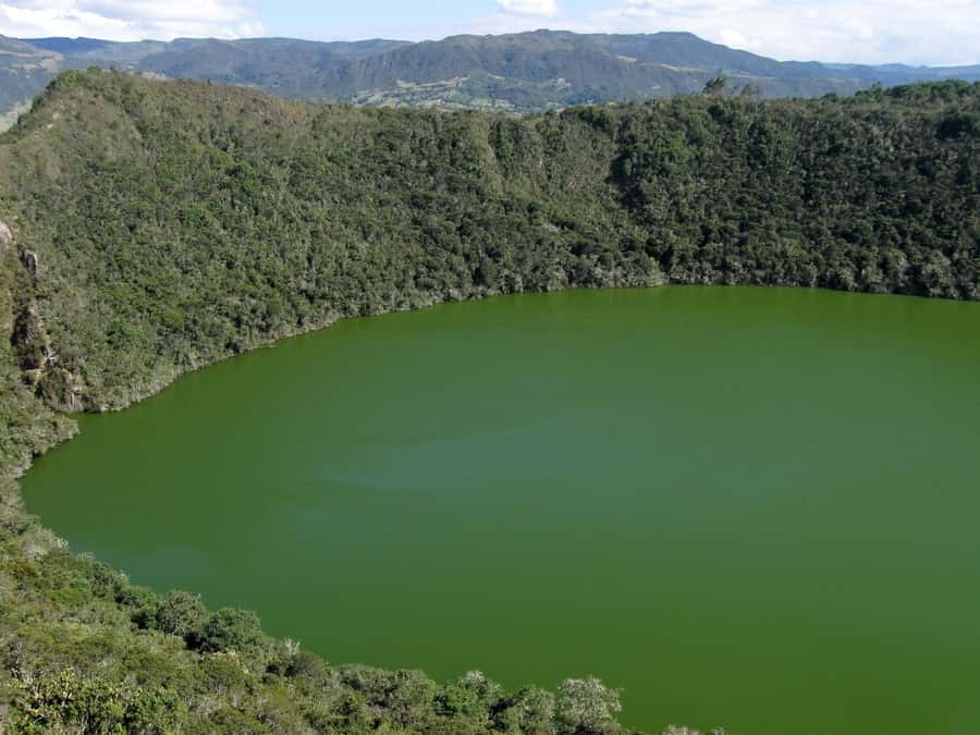 Salt Cathedral and Guatavita Lake with Lunch and Guide - Who should book this experience?