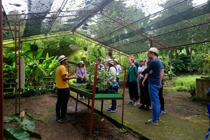 Salto del Tequendama and Hacienda del Cafe (Private Tour) - Hacienda Coloma and the Colombian coffee process