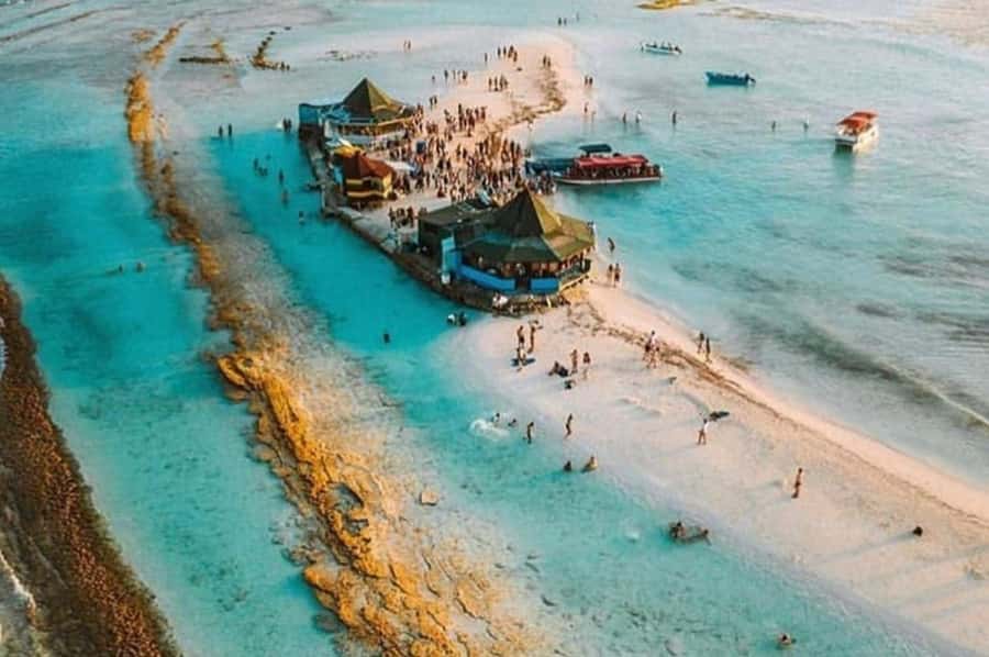 San Andres: Acuario Key Premium Tour - Seeing fish in their natural habitat