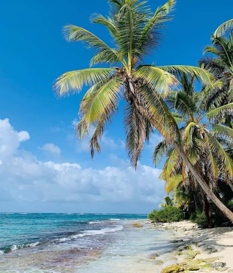 SAN ANDRES: BOAT TRANSFER + JOHNNY CAY - The 15-minute speedboat crossing