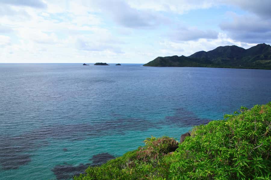 San Andrés: Guided Cays and Mangroves Tour - Rose Cay, the Natural Aquarium of San Andrés
