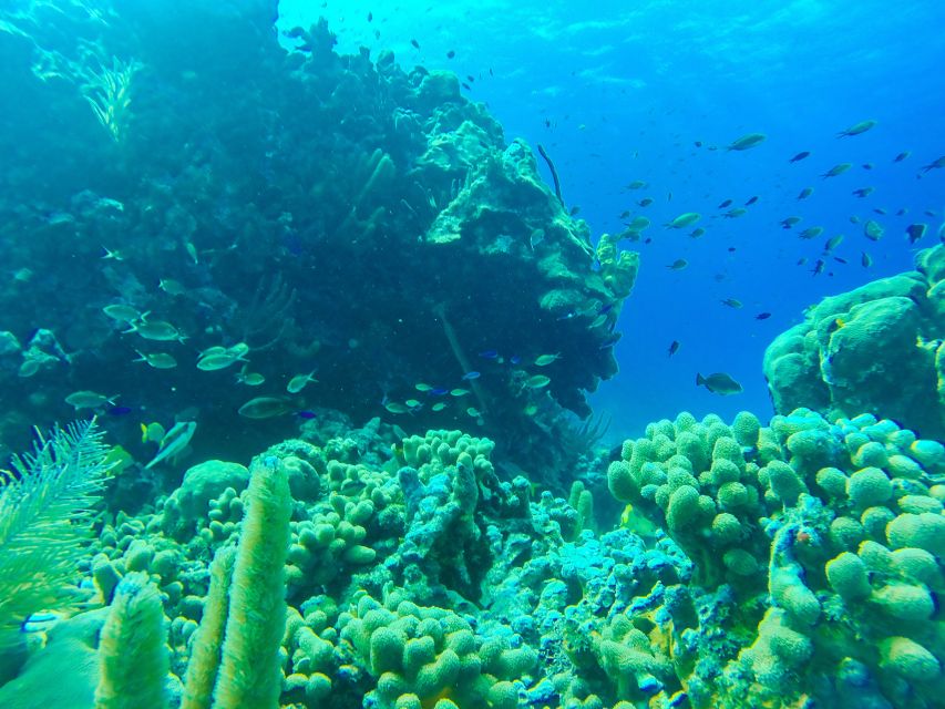 San Andrés: Guided Cays and Mangroves Tour - Practical Packing Advice