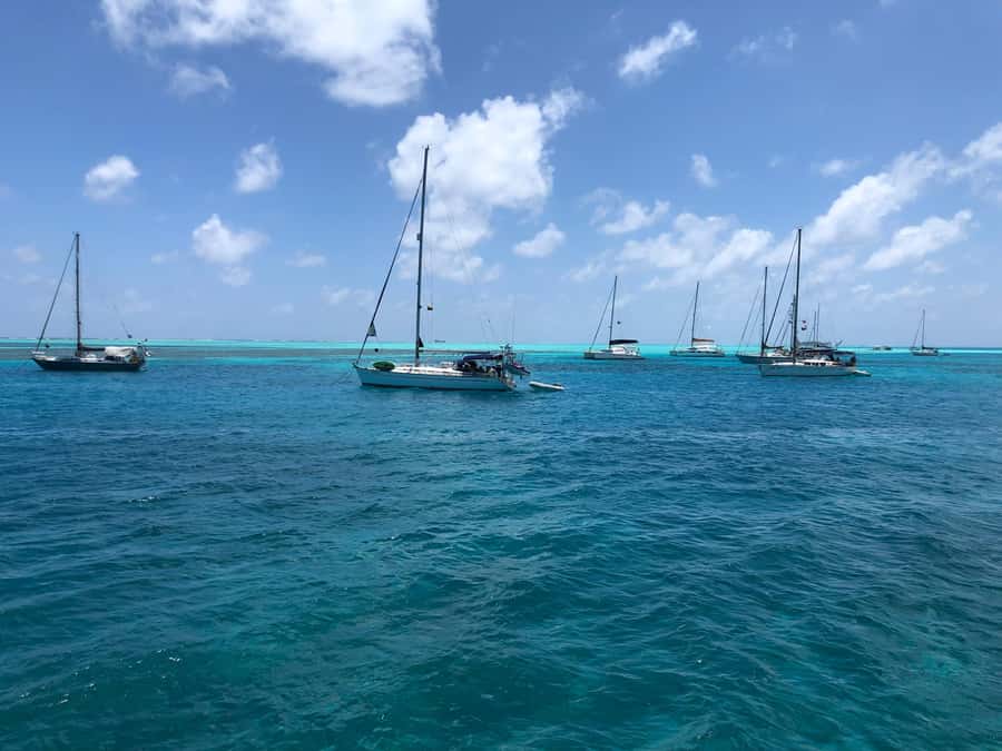 San Andrés: Island Pontoon Boat Tour - The mangrove sector and the return trip
