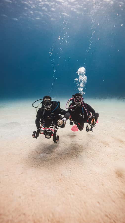 San Andres: Scuba Diving Experience with Hotel Pickup - Small Details That Improve the Experience