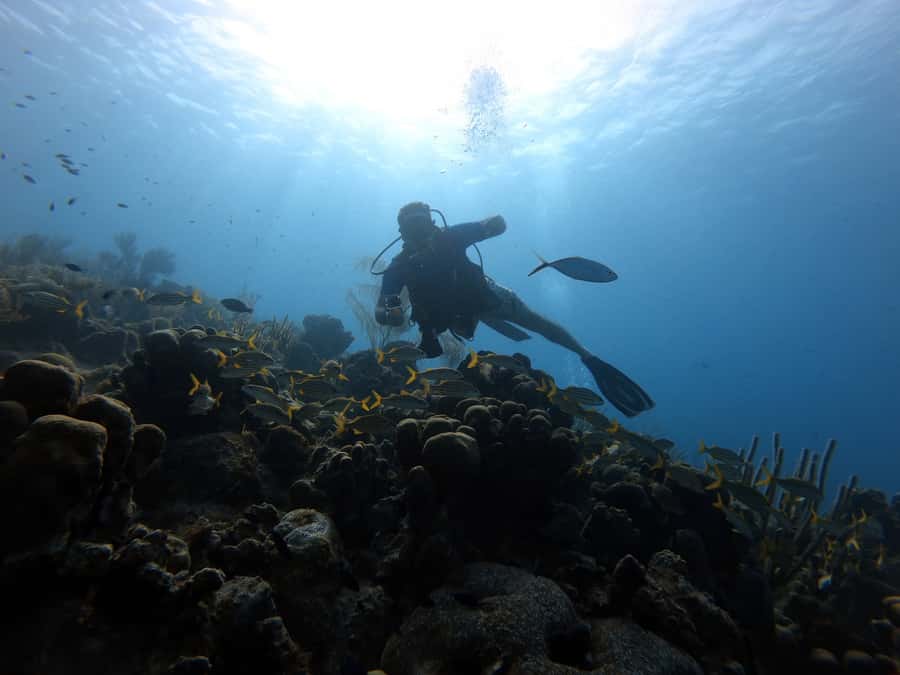San Andres: Scuba Diving Experience with Hotel Pickup - At the Shop: Learning Equipment and Hand Signals