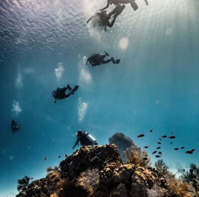Scuba Diving Experience with Hotel Pickup