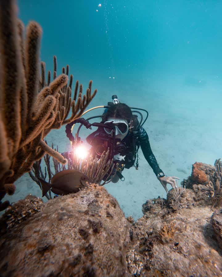 San Andres: Scuba Diving Experience with Hotel Pickup - Big Mamá and the First Underwater Session
