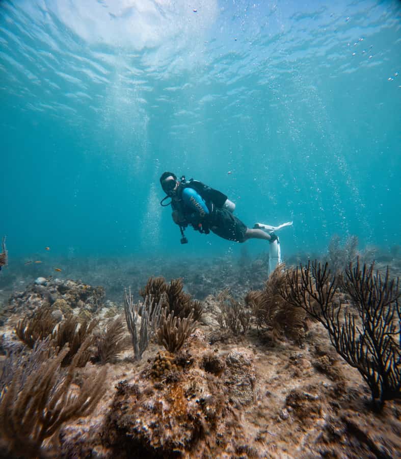 San Andres: Scuba Diving Experience with Hotel Pickup - The Instructors Make or Break the Experience
