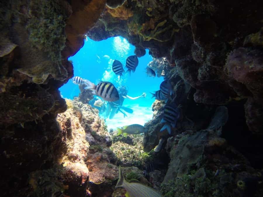 SAN ANDRES: SNUBA UNDERWATER EXPERIENCE - Getting ready with the included equipment