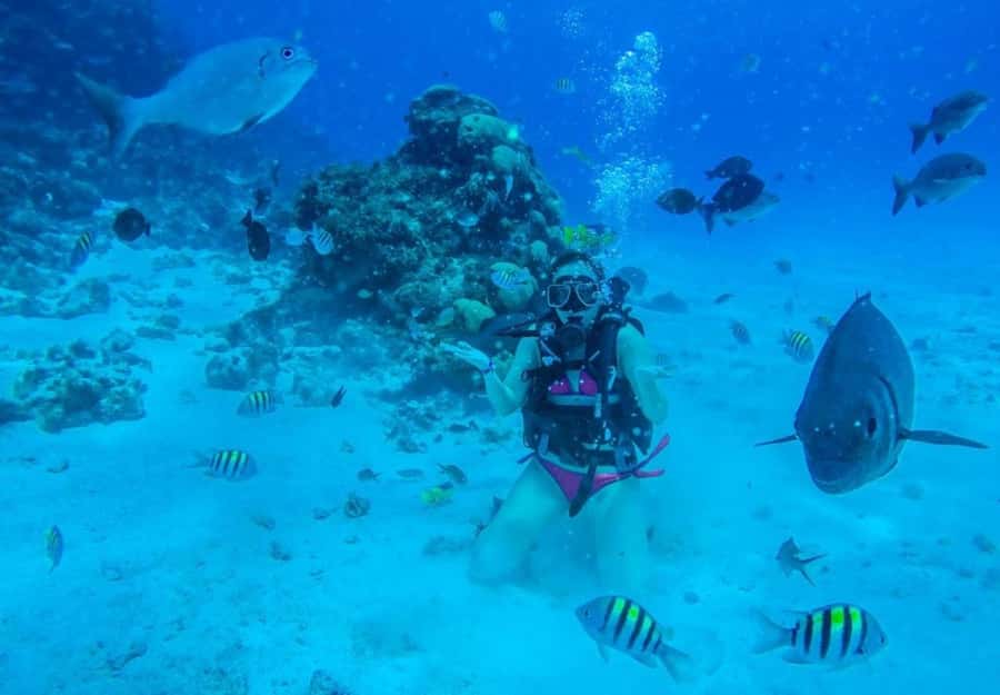 SAN ANDRES: SNUBA UNDERWATER EXPERIENCE - Why the $49 price can make sense