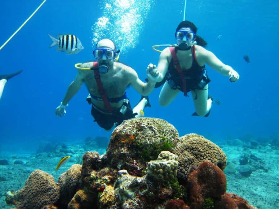 SAN ANDRES: SNUBA UNDERWATER EXPERIENCE - Final verdict: should you book SNUBA?