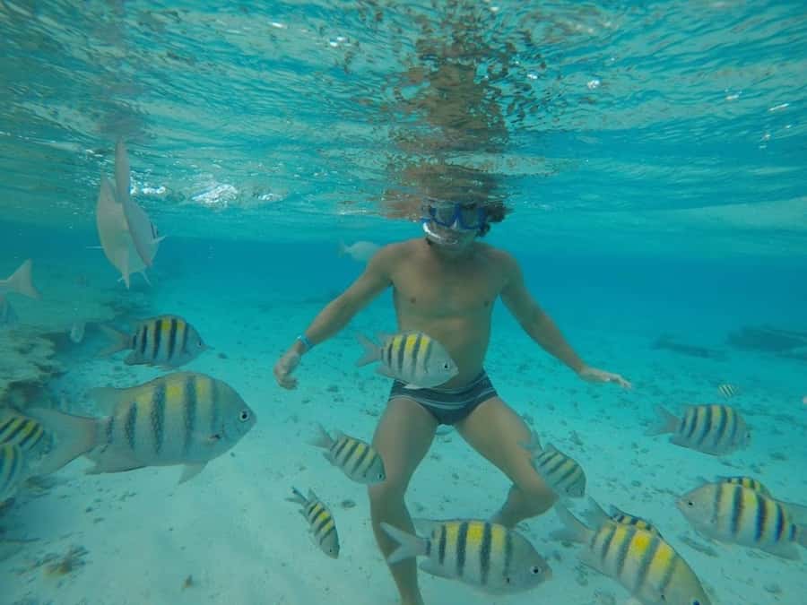 San Andres: Transfer by Boat + Natural Aquarium - How the $23 Price Holds Up