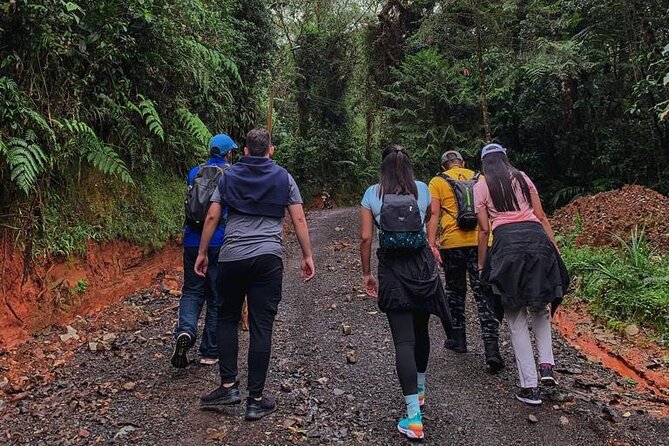 San Antonio Rain Forest Cali Private Tour - Lunch, snacks, and a bird talk