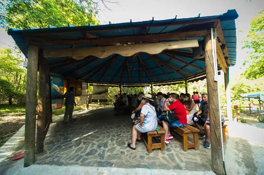 Santa Marta and Tayrona Park Day Trip - Lunch with coconut rice and patacón