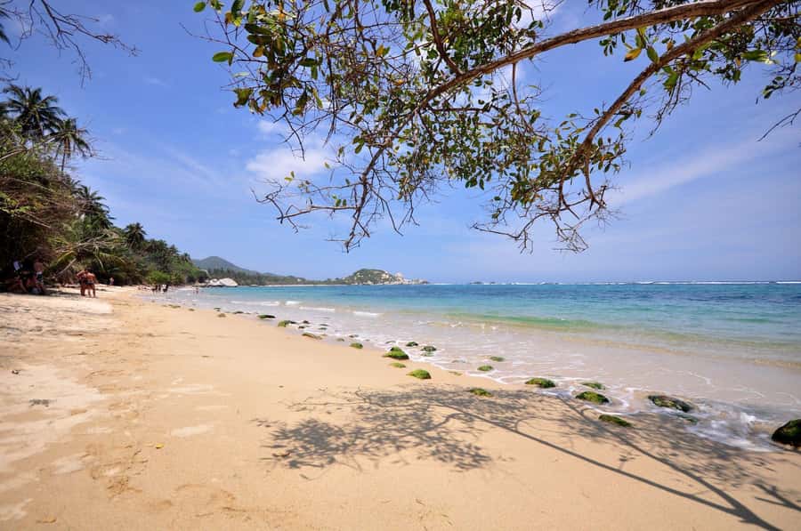 Santa Marta: Cape San Juan del Guía Tour in Tayrona Park - Who should choose this Tayrona tour?