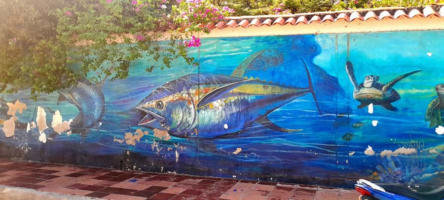 Santa Marta Graffiti Tour: Urban Art & Culture - Plaza de la Catedral: old architecture, new public art