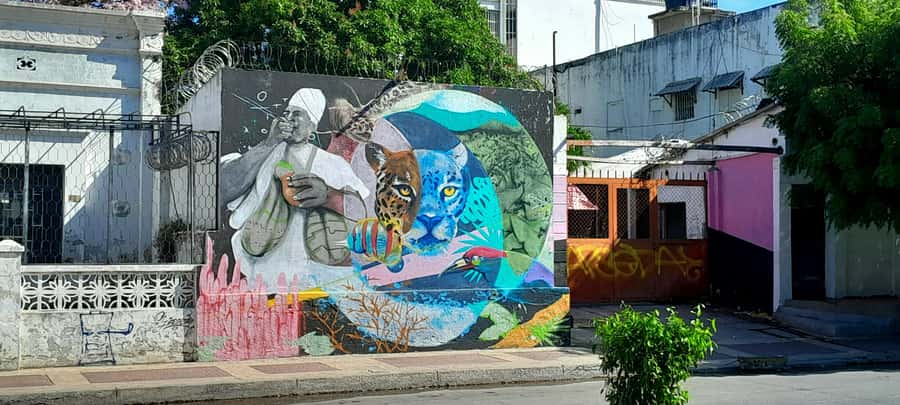 Santa Marta Graffiti Tour: Urban Art & Culture - Who will enjoy this walk most