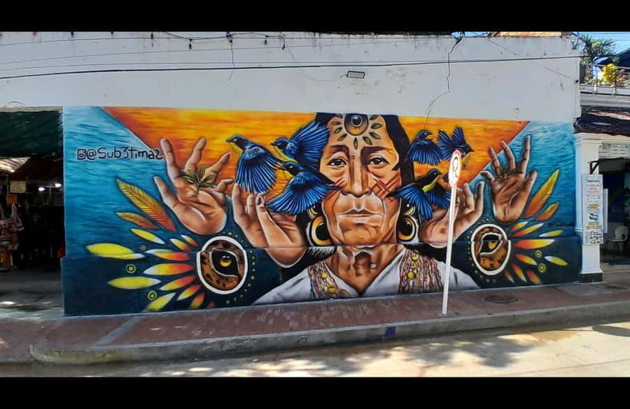 Santa Marta Graffiti Tour: Urban Art & Culture - Starting at Marina Santa Marta