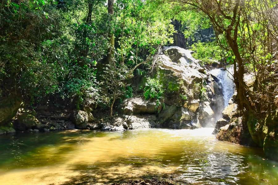 Santa Marta: Minca Coffee, Cocoa, & Waterfall Full-Day Trip - A one-hour break at the Minca River pools