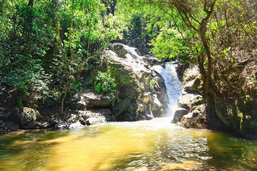 Santa Marta: Minca Coffee, Cocoa, & Waterfall Full-Day Trip - How strong is the guiding?