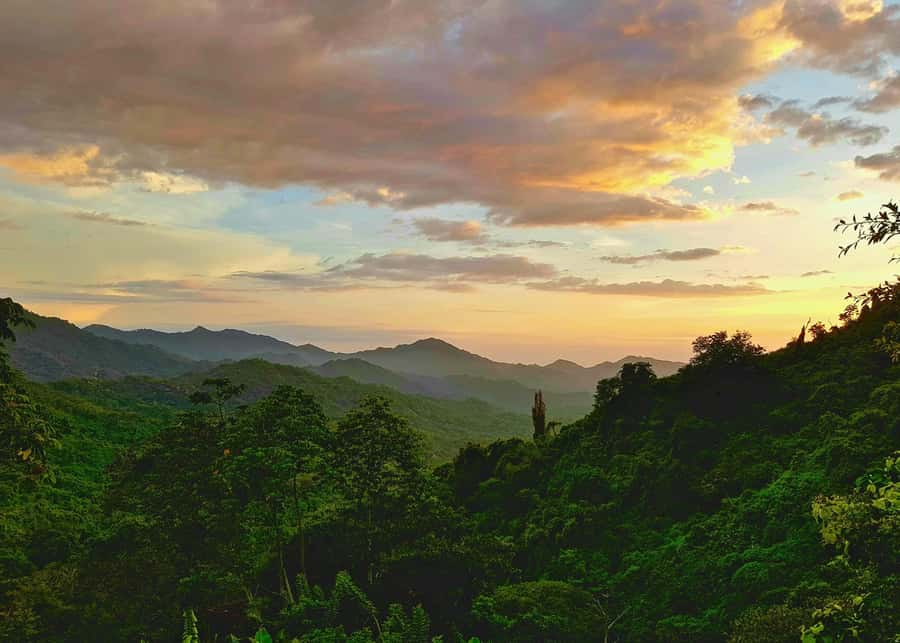 Santa Marta: Minca Coffee, Cocoa, & Waterfall Full-Day Trip - What the $78 price includes