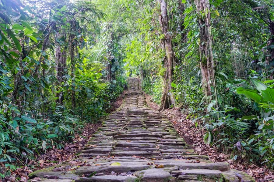 Santa Marta: Multi-Day Trek to The Lost City - Why the Lost City Takes Four Days or More