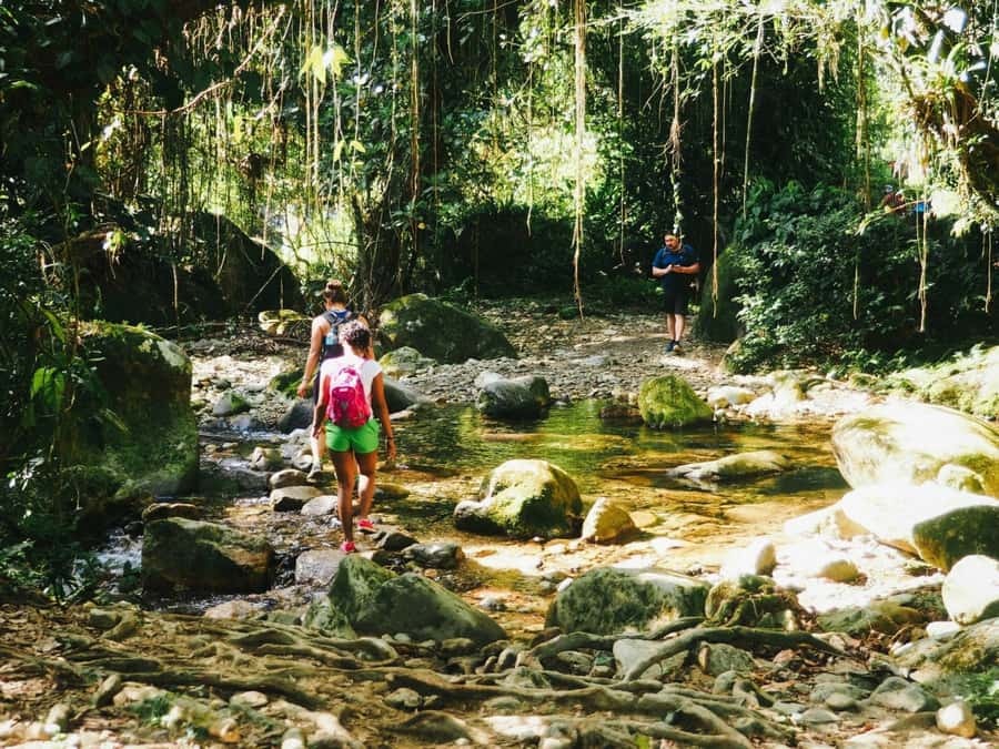 Santa Marta: Multi-Day Trek to The Lost City - How Tough Is the Trek?