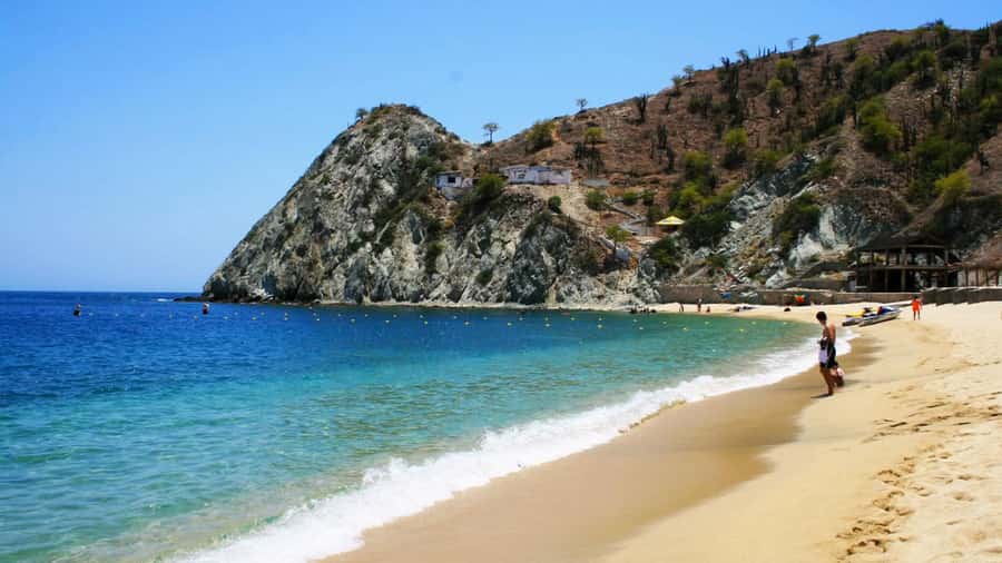 Santa Marta: Museum of the Sea and Playa Blanca Beach Tour - Key points to know before booking