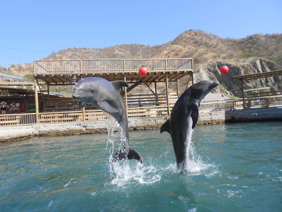 Santa Marta: Museum of the Sea and Playa Blanca Beach Tour - Pickup before 9:00AM and the ride to Rodadero