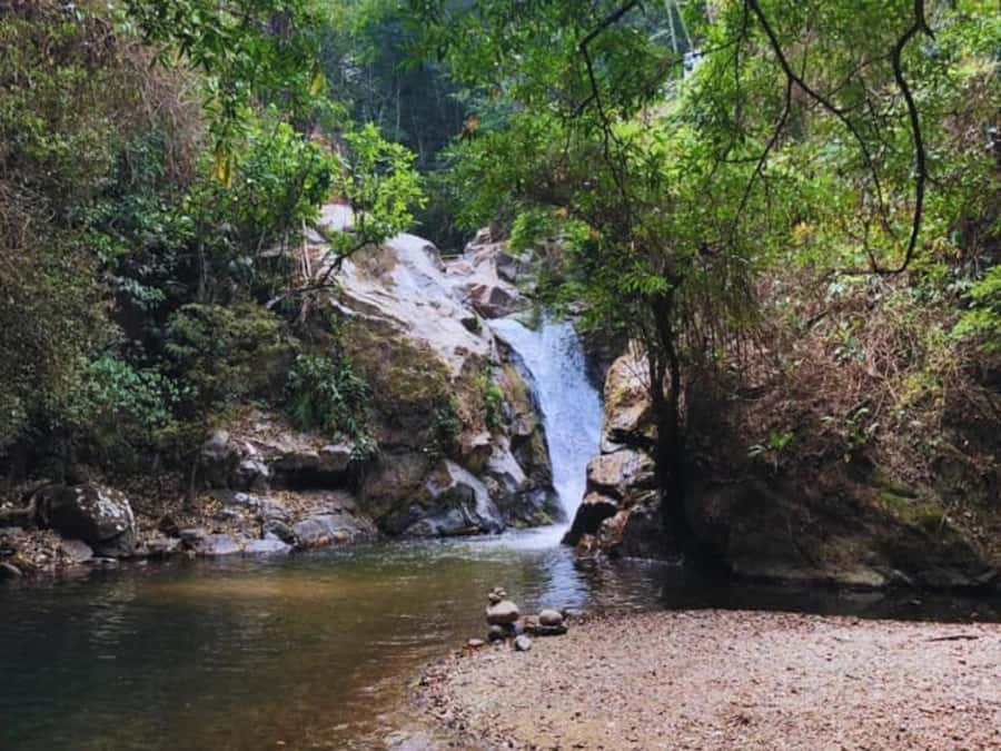 Santa Marta: Trekking in Minca Complete Waterfall Circuit - Price, transport, and what the $49 covers