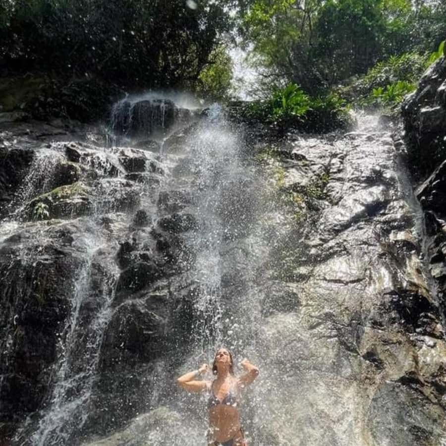 Santa Marta: Trekking in Minca Complete Waterfall Circuit - Starting in Minca at 600 to 800 meters