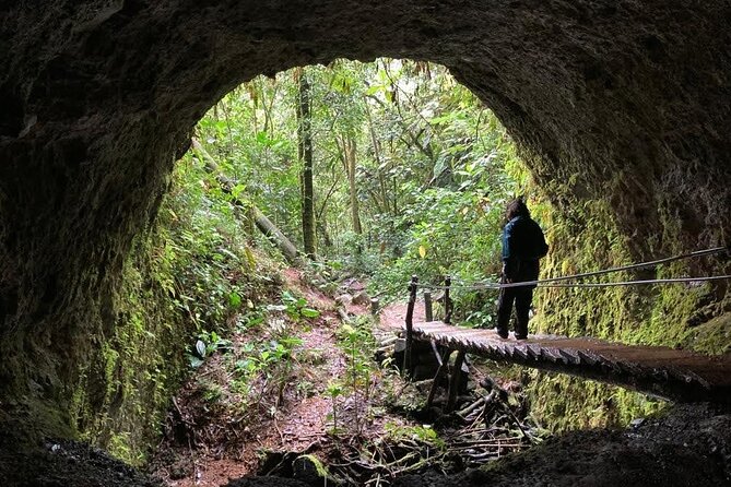 Santa Rita Waterfall and Salento Hike Tour - Walking into Santa Rita’s forest