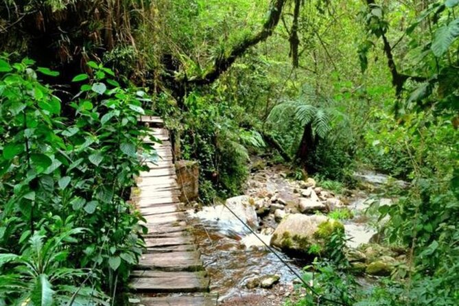 Santa Rita Waterfall and Salento Hike Tour - Who will enjoy this outing most