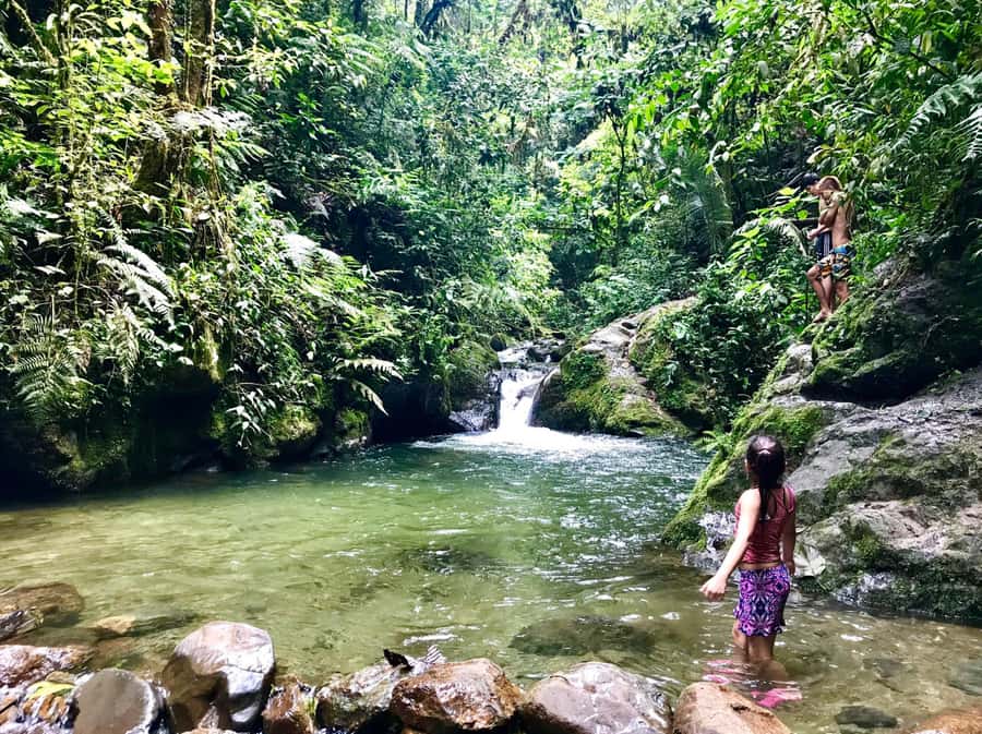 Santa Rita Waterfall and Salento Private Tour - Key details at a glance