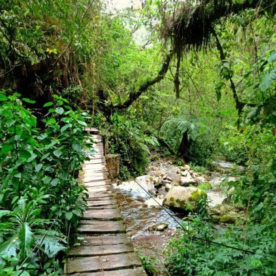 Santa Rita Waterfall and Salento Private Tour - Is the $63 price good value?