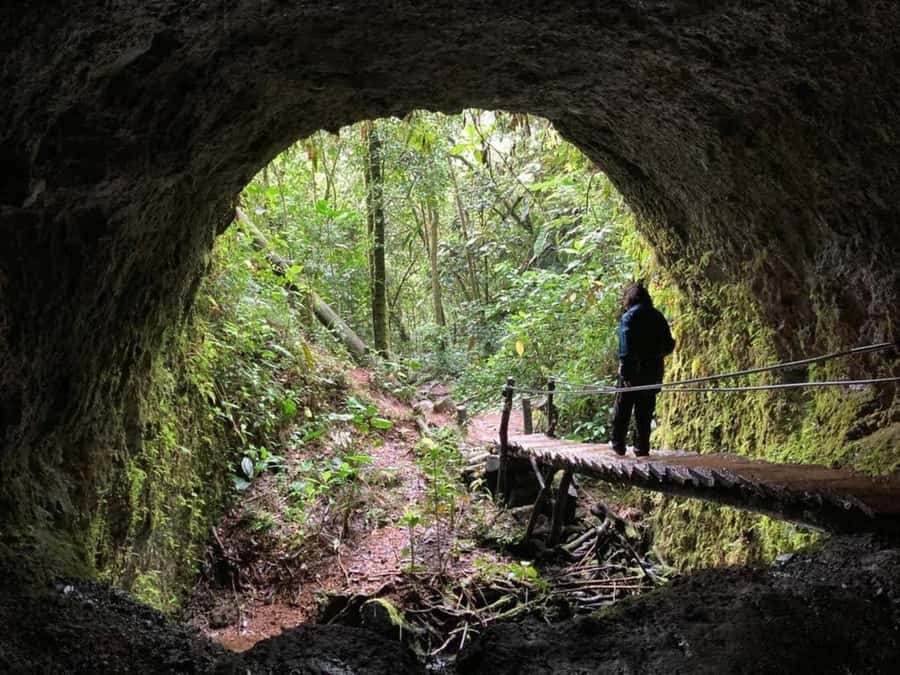 Santa Rita Waterfall and Salento Private Tour - Walking the forest route to Santa Rita