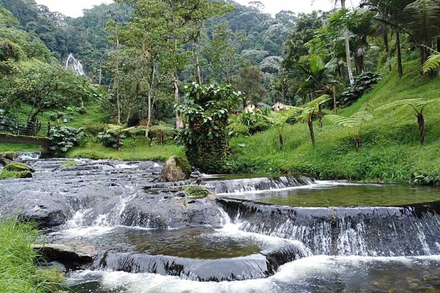 Santa Rosa de Cabal Thermal Hot Springs - What the driver does, and what the driver does not do
