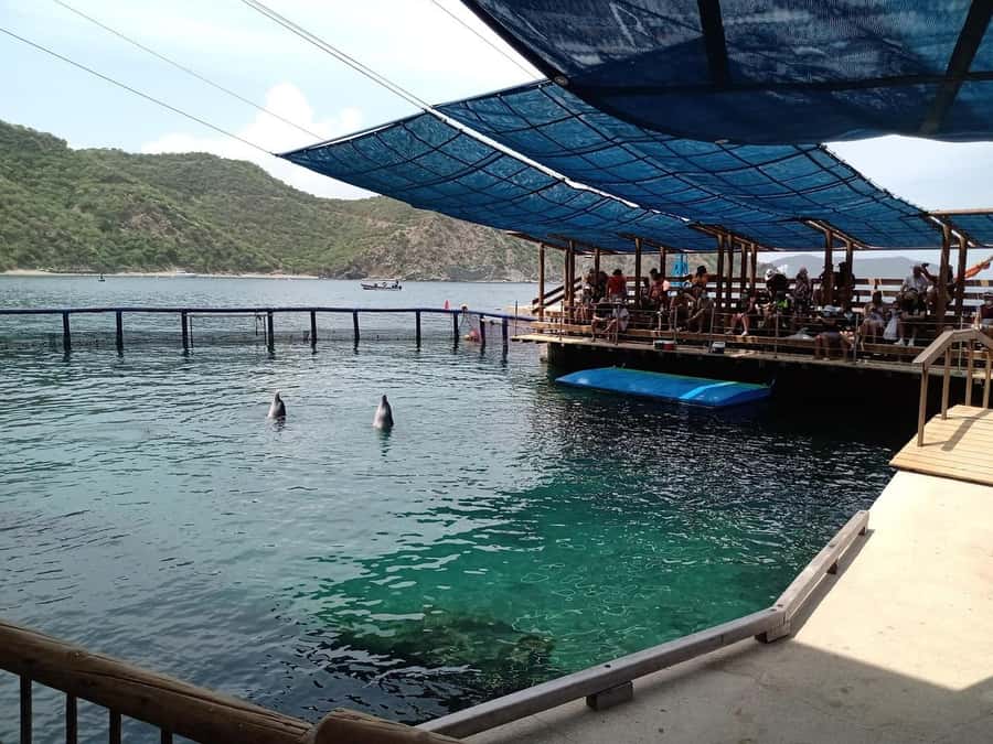 SANTAMARTA: TOUR Combo boat taxi, aquarium, lunch, and white sand beach - Lunch and four hours at Playa Blanca