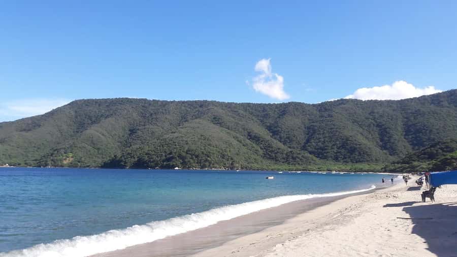 SANTAMARTA: TOUR Combo boat taxi, aquarium, lunch, and white sand beach - The self-guided format: freedom with a little homework
