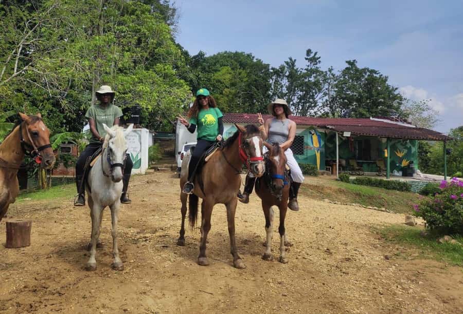 Scenic Horseback Ride in Tropical Mountain Reserve - Monkeys, macaws, and the value of a quiet approach