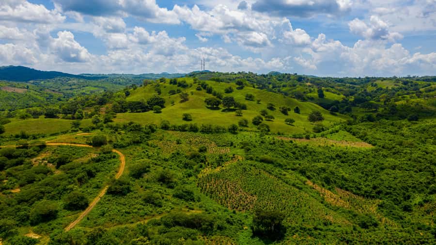 Scenic Horseback Ride in Tropical Mountain Reserve - The UTV ride adds a different view of Bolívar