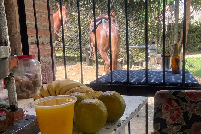 Scenic Horseback Riding in the Medellín Mountains - Creeks, river crossings, and photo stops