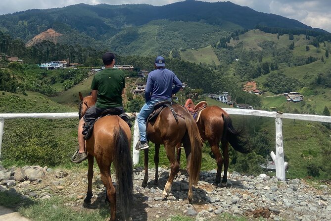 Scenic Horseback Riding in the Medellín Mountains - The snack stop with carrot cake and orange juice
