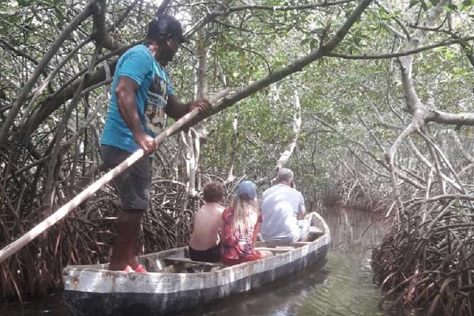 Shared Cartagena Mud Volcano + Mangrove Tour including lunch - Canoeing through the Cartagena mangroves