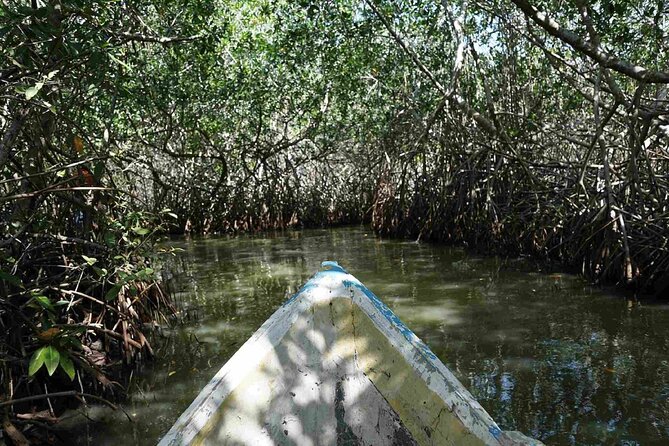 Shared Cartagena Mud Volcano + Mangrove Tour including lunch - What the $120.18 price includes