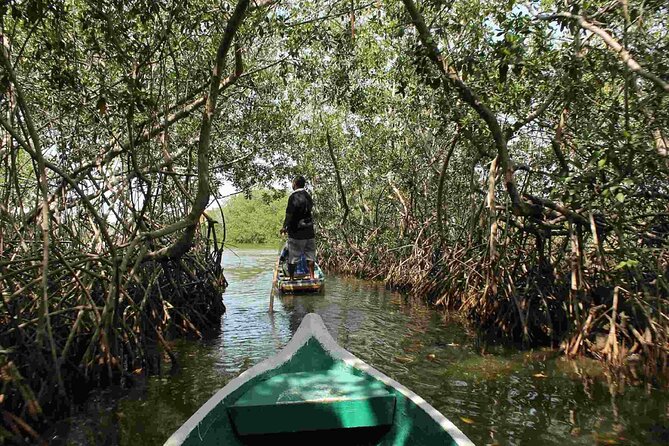 Shared Cartagena Mud Volcano + Mangrove Tour including lunch - Who will enjoy this experience most