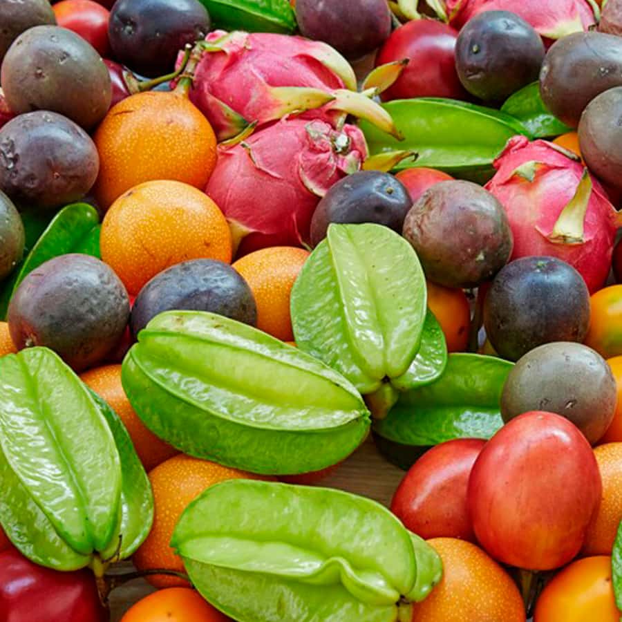 Shared Tour of Colombian Exotic Fruit at Paloquemao Market - The guides make the difference