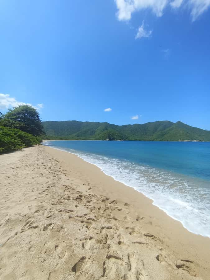 SPEEDBOAT TOUR TO TAYRONA CRISTAL BEACH - Quick facts about the Cristal Beach boat trip